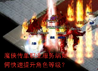 ħ������ְҵ�������ο���������ɫ�ȼ���