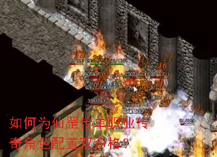 ���Ϊ�����ְҵ�����ɫ����˫����