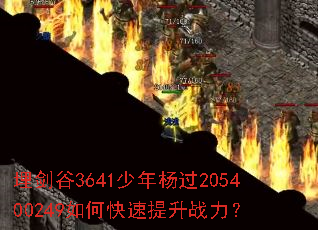 �񽣹�3641�������205400249��ο�������ս����