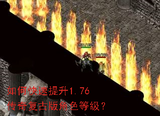 ��ο�������1.76���渴�Ű��ɫ�ȼ���