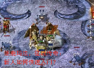 ��¹�귨����ս���棺������ο������ţ�