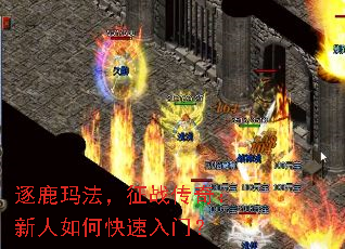 ��¹�귨����ս���棺������ο������ţ�