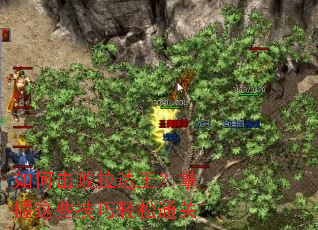 ��λ�����������������Щ��������ͨ��