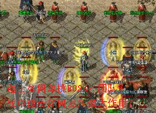 道士如何单挑BOSS?团队战中道士如何发挥最大作用? 道士如何单挑BOSS?团队战中道士如何发挥最大作用?