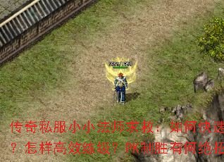传奇私服小小法师求救:如何快速爆装?怎样高效练级?PK制胜有何绝招? 传奇私服小小法师求救:如何快速爆装?怎样高效练级?PK制胜有何绝招?