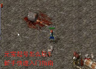 元宝起号怎么玩?新手快速入门指南 元宝起号怎么玩?新手快速入门指南