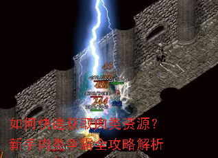 如何快速获取肉类资源?新手肉类争霸全攻略解析 如何快速获取肉类资源?新手肉类争霸全攻略解析