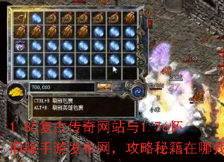 1.85复古传奇网站与1.76怀旧版手游发布网,攻略秘籍在哪找? 1.85复古传奇网站与1.76怀旧版手游发布网,攻略秘籍在哪找?