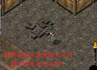 如何通过开通赞助和会员,助力游戏持续发展? 如何通过开通赞助和会员,助力游戏持续发展?