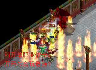 �տ���ְҵ���棬������ô����ǿ��