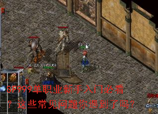SF999单职业新手入门必看?这些常见问题你遇到了吗? SF999单职业新手入门必看?这些常见问题你遇到了吗?