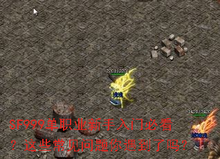 SF999单职业新手入门必看?这些常见问题你遇到了吗? SF999单职业新手入门必看?这些常见问题你遇到了吗?