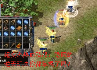 ����̬��Ѫ˽�������ص������淨�㶼��������