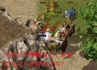 ������뱬��Ʒ����Щ���ؼ����㶼֪����