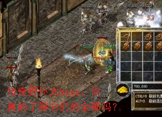 ����Ұ���boss��������˽����ǵ�ȫ����