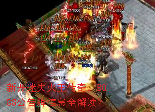 �¿���ʧ�������棬BOSS��������Ϣȫ�����
