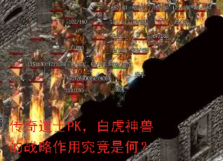 �����ʿPK���׻����޵�ս�����þ����ǺΣ�