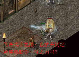 传奇高手之路:我的升到经验真能助你一臂之力吗? 传奇高手之路:我的升到经验真能助你一臂之力吗?