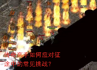 ����������Ӧ����;�еĳ�����ս��