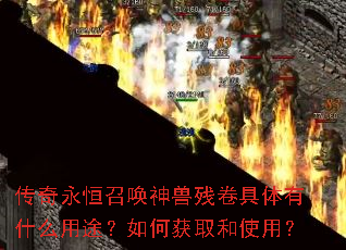 ���������ٻ����޲о�������ʲô��;����λ�ȡ��ʹ�ã�