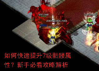 如何快速提升7级骷髅属性?新手必看攻略解析 如何快速提升7级骷髅属性?新手必看攻略解析