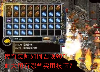 ���淨ʦ����ٻ�900Ѫ��������Щʵ�ü��ɣ�