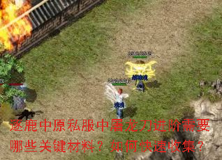 逐鹿中原私服中屠龙刀进阶需要哪些关键材料?如何快速收集? 逐鹿中原私服中屠龙刀进阶需要哪些关键材料?如何快速收集?