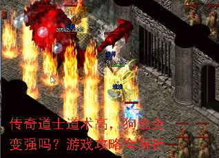 传奇道士道术高,狗也会变强吗?游戏攻略全解析 传奇道士道术高,狗也会变强吗?游戏攻略全解析