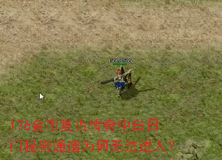 176金币复古传奇中白日门秘密通道为何无法进入? 176金币复古传奇中白日门秘密通道为何无法进入?