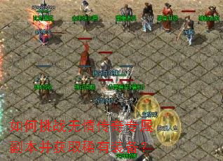 如何挑战无情传奇专属副本并获取稀有装备? 如何挑战无情传奇专属副本并获取稀有装备?