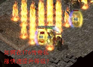 �����176����˽�����������ȼ���