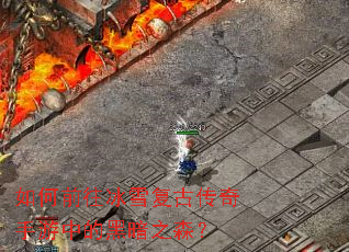 ���ǰ����ѩ���Ŵ��������еĺڰ�֮ɭ��
