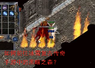 ���ǰ����ѩ���Ŵ��������еĺڰ�֮ɭ��