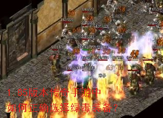 1.85�汾���������������ȷѡ���̶�װ����