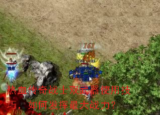 ��Ѫ����սʿ˫����ʹ�ü��ɣ���η������ս����