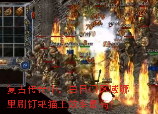 ���Ŵ����У���������������ˢ����è��Ч����ߣ�