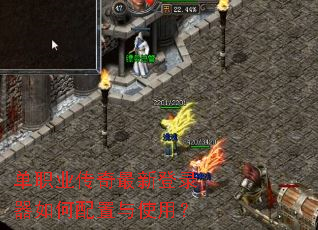 ��ְҵ�������µ�¼�����������ʹ�ã�