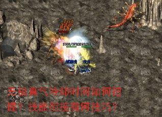 无极真气冷却时间如何把握?技能衔接有何技巧? 无极真气冷却时间如何把握?技能衔接有何技巧?
