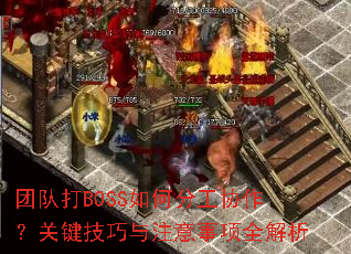 �ŶӴ�BOSS��ηֹ�Э�����ؼ�������ע������ȫ����