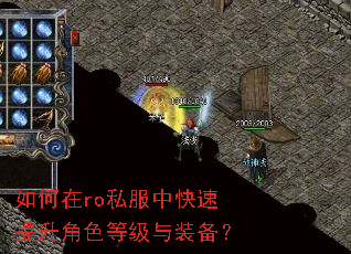 �����ro˽���п���������ɫ�ȼ���װ����