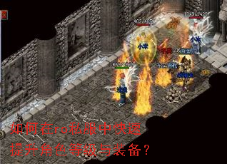 �����ro˽���п���������ɫ�ȼ���װ����
