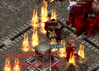 如何快速提升021在线传奇私服角色等级? 如何快速提升021在线传奇私服角色等级?