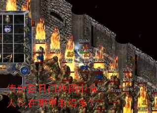 ��������ŵ�ͼ��ʳ�˻�������ˢ�öࣿ