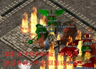 ��ְҵ����2018�棬��ο�������ս�����ȡ����װ����