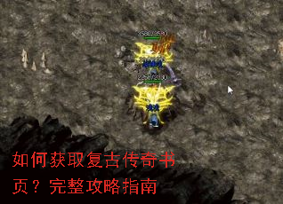 ��λ�ȡ���Ŵ�����ҳ����������ָ��