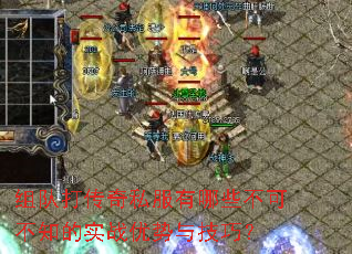 ��Ӵ���˽������Щ���ɲ�֪��ʵս�����뼼�ɣ�