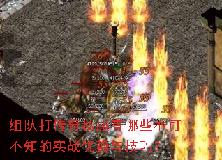 ��Ӵ���˽������Щ���ɲ�֪��ʵս�����뼼�ɣ�