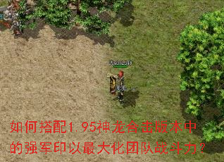 如何搭配1.95神龙合击版本中的强军印以最大化团队战斗力? 如何搭配1.95神龙合击版本中的强军印以最大化团队战斗力?