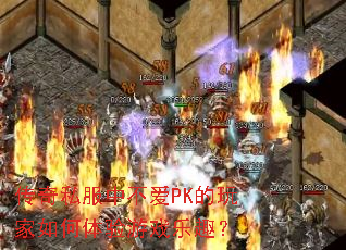 ����˽���в���PK��������������Ϸ��Ȥ��