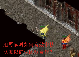 组野队时如何有效审核队友以确保团队合作? 组野队时如何有效审核队友以确保团队合作?